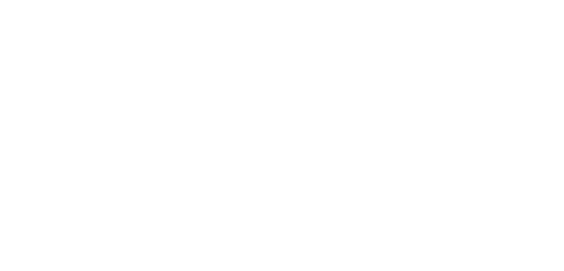 Disability Employment Services logo